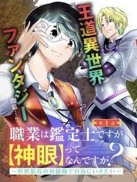 職業は鑑定士ですが【神眼】ってなんですか？　～世界最高の初級職で自由にいきたい～